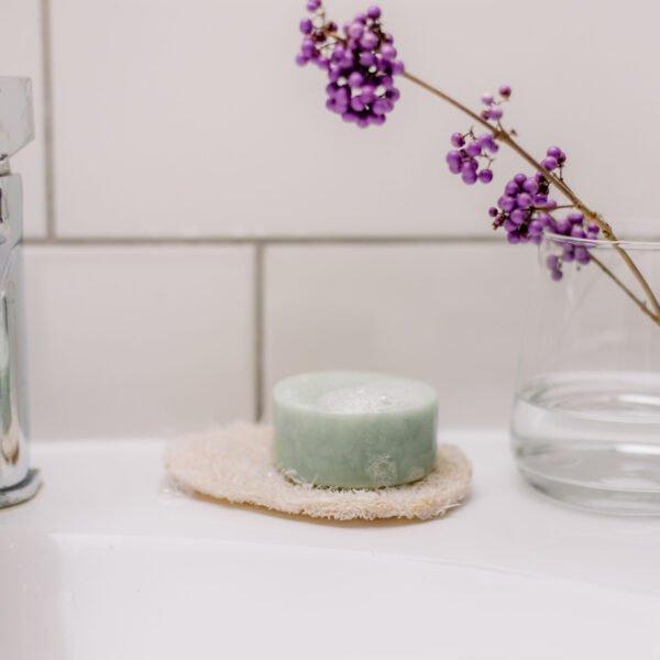 Croll & Denecke luffa saippua-alus