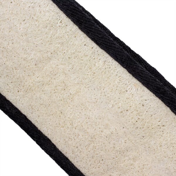 Chinchilla selänpesin