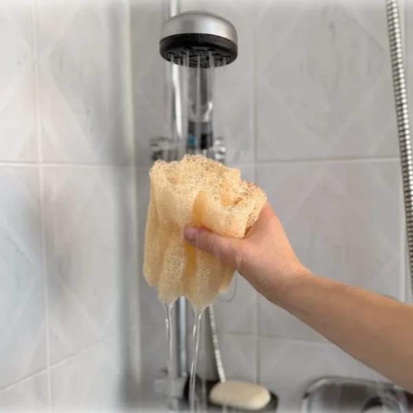 Iberluffa luffa pesusieni Espanjalainen luffa pesusieni narulla (12-13 cm) - Iberluffa